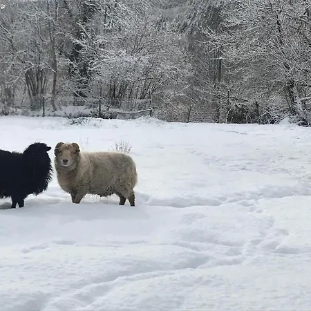 Montagne Avec Terrasse Privative, Wifi, Pres De Sentiers De Randonnee, Animaux Acceptes - Fr-1-496-224