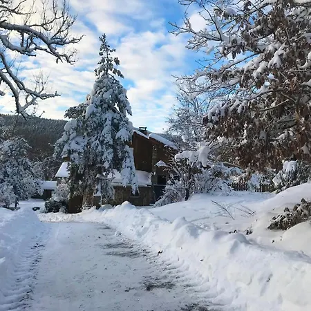 Montagne Avec Terrasse Privative, Wifi, Pres De Sentiers De Randonnee, Animaux Acceptes - Fr-1-496-224 Apartment Saint-Priest-la-Prugne